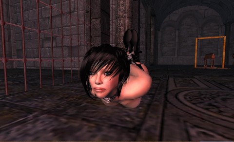 second_life-26-bondage