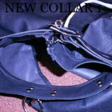  new_collar_1.jpg thumbnail