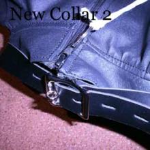  new_collar_2.jpg thumbnail