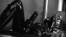  cock-erection-latex-sheath-04-catsuit-stroking.gif