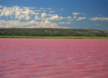  pink-25_dusty_rosa_lake.jpg
