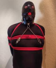  Impromptu chest harness 3.jpg