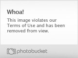 Photobucket bans plugs