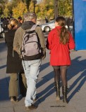 Shorts with pantyhose in Paris