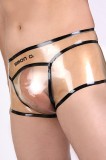 transparent latex briefs slips shorts