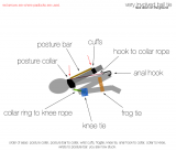 TTBM’s self-bondage ball-tie with an anal hook