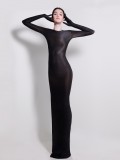 Zentai dress? Stocking dress? Glove dress?