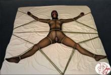  ph-zentai-05.jpg thumbnail