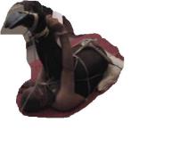 Filename: bent tied.JPG Size: 13.05 KB Uploaded: 30 Jul 2009, 11:19 Views: 335x bent tied.JPG