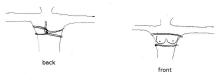  fig01.jpg