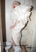  lady_gaga-toilet-52.jpg