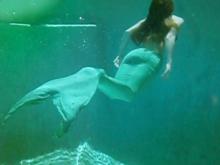  latex-mermaid-08.jpg