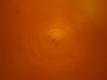  P1.JPG thumbnail