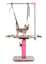  Dog-Grooming-Tables.jpg thumbnail