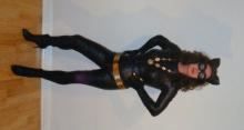  Catwoman2.jpg thumbnail