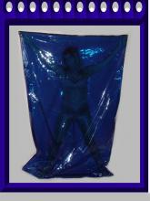  transparent-pvc-sleeping-bag-09.jpg