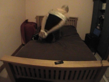 Filename: SB0513 f.png Size: 761.25 KB Uploaded: 17 Apr 2013, 14:19 Views: 93x SB0513 f.png