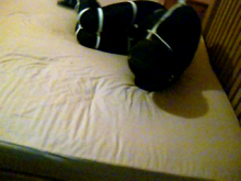 Filename: 3 falling 3b.png Size: 155.89 KB Uploaded: 27 Jun 2013, 21:19 Views: 112x 3 falling 3b.png