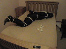 Filename: 5 hump 1.png Size: 727.22 KB Uploaded: 27 Jun 2013, 21:21 Views: 132x 5 hump 1.png
