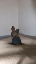  DSCF1325_k.jpg thumbnail