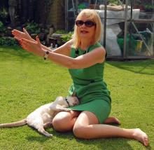  candid-pantyhose-198-cat.jpg thumbnail