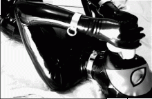  lmb0.gif thumbnail