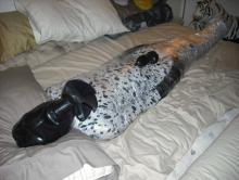  cock-erection-152-latex-mummification.jpg