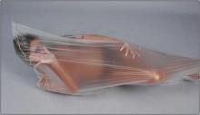  plastic-body-bag-02-transparent.jpg