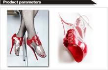  ballet_shoes-14-transparent-blash-fishnets.jpg thumbnail