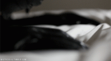  tumblr_nusq4f2u0q1ud95y7o1_500.gif thumbnail