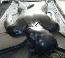 tumblr_nw2k0pF8E11r73k10o1_500.gif thumbnail