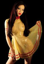  transparent-latex-150-dress.jpg thumbnail