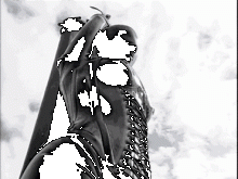  tumblr_n02hziiPn71rbmh06o1_400.gif thumbnail