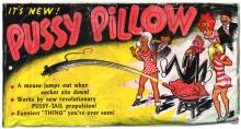  PussyPillow.jpg