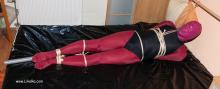  IMG_3322_pantyhose_encasement_pole_bondage.jpg