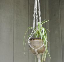 macrame plant hanger.jpg thumbnail