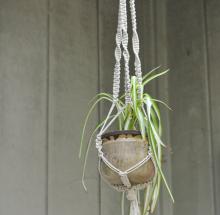  macrame plant hanger.jpg thumbnail