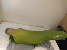  tumblr_of5wdeFGRQ1ublbqqo4_1280.jpg thumbnail