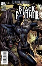  704665-black_panther_01.jpg