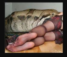  girl_in_stockings_python-01.jpg thumbnail