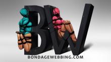  bondage_webbing-01.jpg