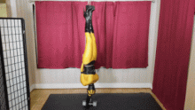 tumblr_p3coc2ttqE1uiix5oo1_400.gif thumbnail