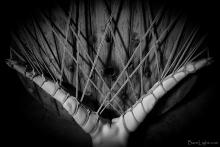  antumbra_1_by_barelight-d53vxvn.jpg thumbnail
