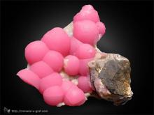  pink_rhodochrosite-botryoidal-01.jpg