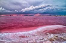  pink-27_lake_torrevieja.jpg