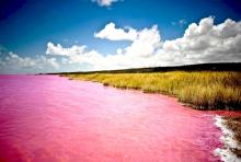  pink-26_lake_retbah.jpg