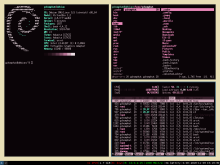  pink-45_linux_desktop.png