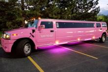  pink-39_hummer.jpg