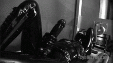  bdsmlr-22042-ZsGznbbttm.gif