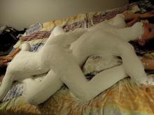  body_cast_5_by_viptattoo_d5h2wbg-fullview.jpg